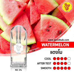 POP UP Watermelon